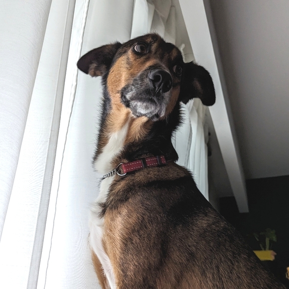 Meet your Posher, Breanna - Picture 1 of 1